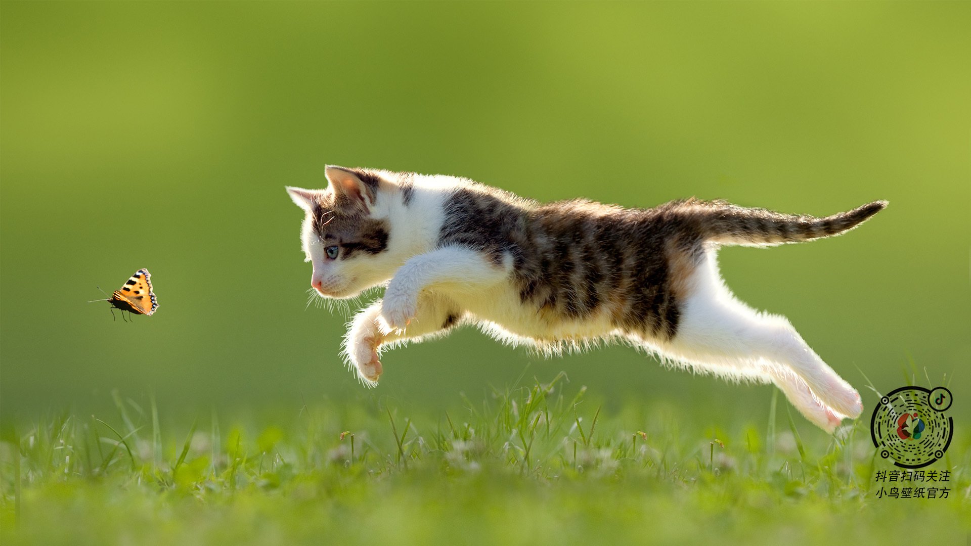 职业球员训练反馈机制未形成闭环