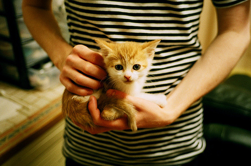 举重世青赛中国女队整体发挥稳定，中国队女子举重冠军